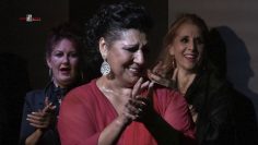 [ID: dGTXyfXeRX8] Youtube Automatic