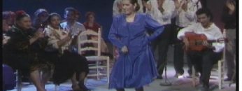 [ID: DHd63vKcwJo] Youtube Automatic