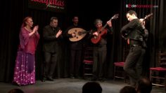 [ID: dJCSf64ZfOk] Youtube Automatic