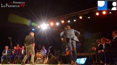 [ID: DJwrQD6pVVU] Youtube Automatic