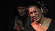 [ID: dL4q5TVd8L4] Youtube Automatic