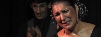 [ID: dL4q5TVd8L4] Youtube Automatic