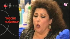 [ID: DLNvsDjW05E] Youtube Automatic