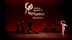 [ID: dMIn_fp7yM8] Youtube Automatic