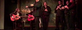 [ID: DmoJNmBKRME] Youtube Automatic