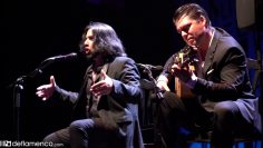 [ID: DMP-fnX_z28] Youtube Automatic