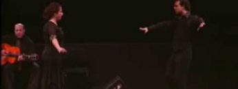 [ID: dNH13RO5Tvc] Youtube Automatic