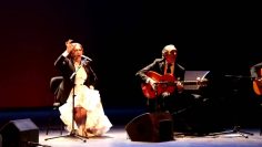 [ID: DnRp8mqazC0] Youtube Automatic