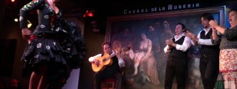 [ID: DP2_09xxkIg] Youtube Automatic