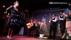 [ID: DP2_09xxkIg] Youtube Automatic