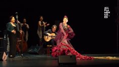 [ID: DRr0oQ8_fak] Youtube Automatic