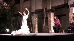 [ID: dSbVIkbrATo] Youtube Automatic