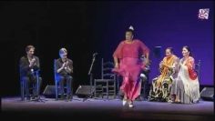 [ID: DtqoRZloJJ0] Youtube Automatic