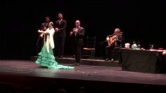 [ID: dZ0RxVl3Gmg] Youtube Automatic