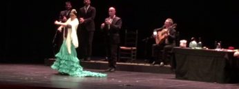 [ID: dZ0RxVl3Gmg] Youtube Automatic