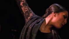 [ID: DZo2869kZtM] Youtube Automatic