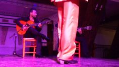 [ID: DZXW-TV3BpM] Youtube Automatic