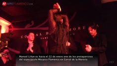 [ID: E61yTor4d9w] Youtube Automatic