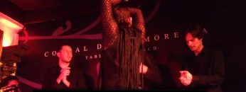 [ID: E61yTor4d9w] Youtube Automatic