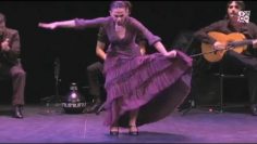 [ID: Ea80EgcL91g] Youtube Automatic