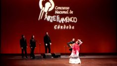 [ID: EHkk0aQ1-GA] Youtube Automatic