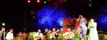 [ID: eJ05sHo0p5I] Youtube Automatic