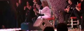 [ID: eM-m5ezX8LU] Youtube Automatic