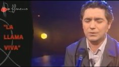 [ID: emeKETE2wLE] Youtube Automatic