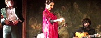 [ID: EMpNnZZWkAw] Youtube Automatic