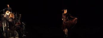 [ID: emykiuDqVm0] Youtube Automatic