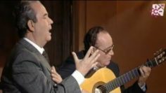 [ID: EnLsDalEqsU] Youtube Automatic