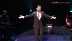 [ID: Ephg8e62dyI] Youtube Automatic