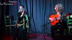 [ID: EQP8ngTTm6E] Youtube Automatic