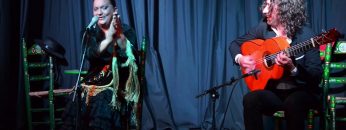 [ID: EQP8ngTTm6E] Youtube Automatic