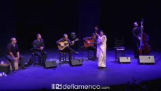 [ID: EQxRZuEZP04] Youtube Automatic