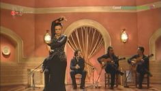 [ID: ErvJ47ccwvc] Youtube Automatic