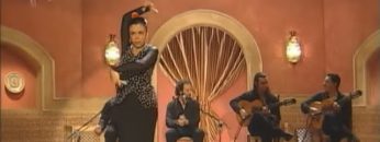 [ID: ErvJ47ccwvc] Youtube Automatic