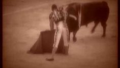 [ID: EZWVToc-Cx0] Youtube Automatic