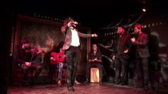 [ID: F4OCVKGIiEs] Youtube Automatic