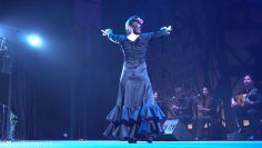 [ID: f4TSPMehruo] Youtube Automatic