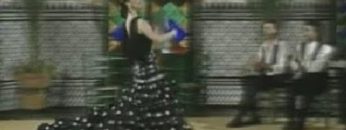 [ID: FCGHlqQDsh8] Youtube Automatic