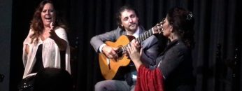 [ID: Fe44PDyUsbw] Youtube Automatic