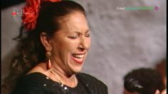 [ID: fEkOEyGDXxQ] Youtube Automatic