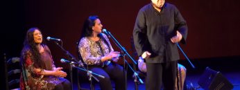 [ID: fGDSdCKIoPo] Youtube Automatic