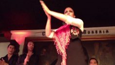 [ID: fi9nal1AFNs] Youtube Automatic