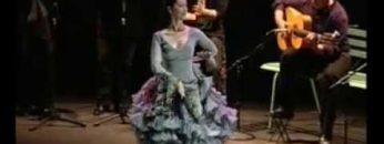 [ID: fIENJLcfA_w] Youtube Automatic