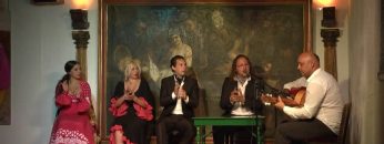 [ID: fkOx5O1EpTM] Youtube Automatic