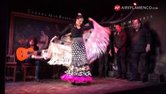 [ID: FLjSB6UxZko] Youtube Automatic