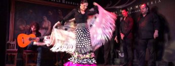 [ID: FLjSB6UxZko] Youtube Automatic