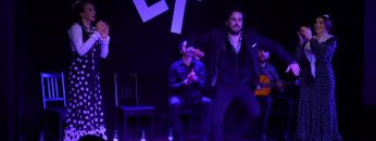 [ID: FMS0QNeGrLw] Youtube Automatic